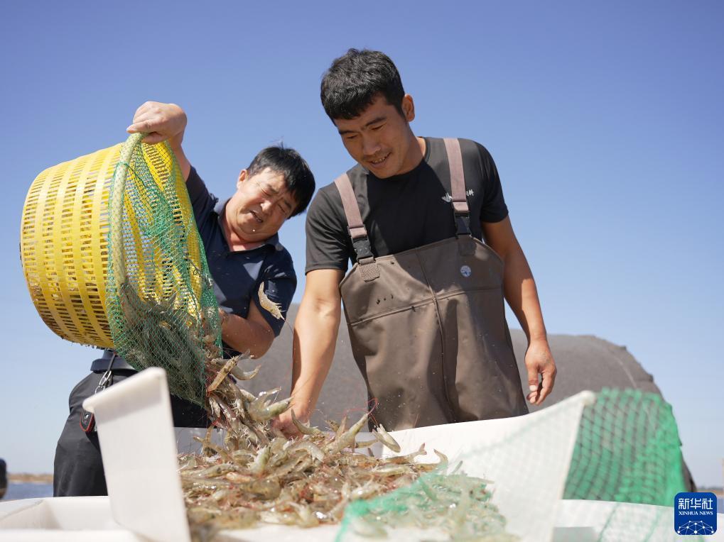 威尼斯正规软件下载